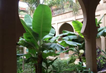 ©Danielle et Olivier - Tous Droits réservés