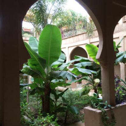 ©Danielle et Olivier - Tous Droits réservés