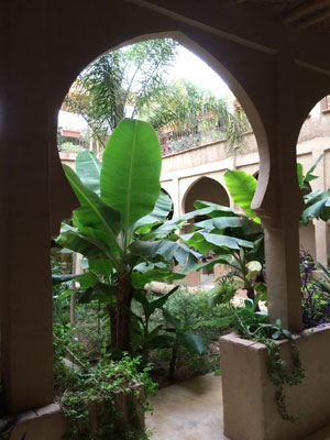 ©Danielle et Olivier - Tous Droits réservés