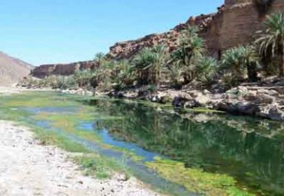 ©André L. - Tous Droits réservés Voyage au Maroc - Témoignage d'André