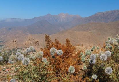 Voyage au Maroc - Témoignage de Nathalie, José et Léonore