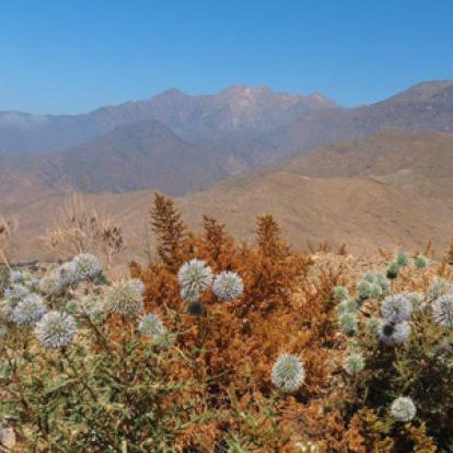 Voyage au Maroc - Témoignage de Nathalie, José et Léonore