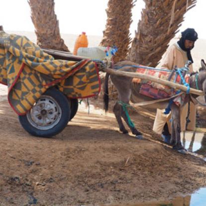Voyage au Maroc - Témoignage de Nathalie, José et Léonore