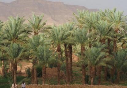 Voyage au Maroc - Témoignage de Nathalie, José et Léonore