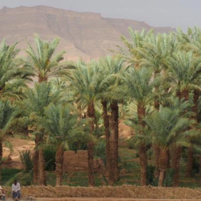 Voyage au Maroc - Témoignage de Nathalie, José et Léonore