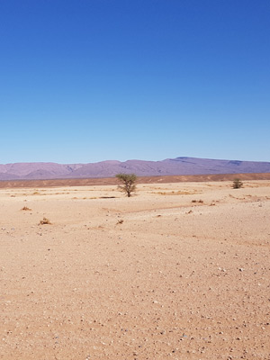 ©Eric F. - Tous Droits réservés Voyage au Maroc - Témoignage d'Eric