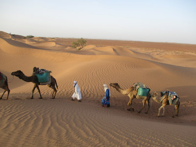 Voyage au Maroc - Témoignage de la Famille de Mickaël
