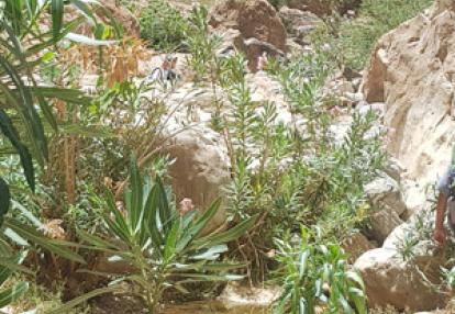 Voyage au Maroc - Témoignage de la Famille de Pierre