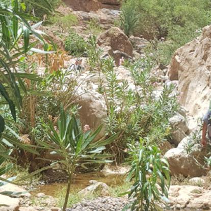 Voyage au Maroc - Témoignage de la Famille de Pierre