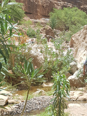 Voyage au Maroc - Témoignage de la Famille de Pierre