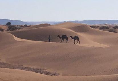 ©Mireille G-M. - Tous Droits réservés Voyage au Maroc - Voyage au Maroc de Mireille