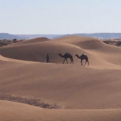 Voyage au Maroc - Voyage au Maroc de Mireille