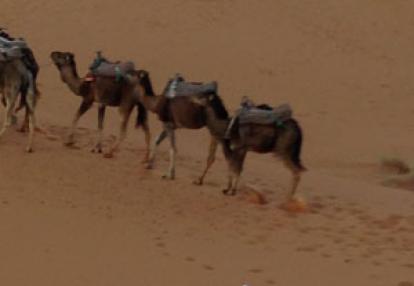 Voyage au Maroc de Didier