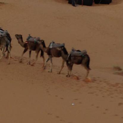 Voyage au Maroc de Didier