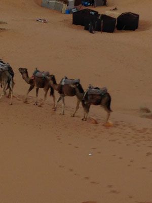 Voyage au Maroc de Didier