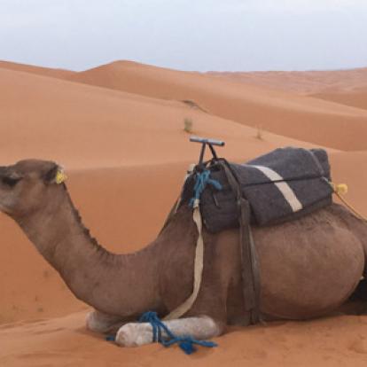 Voyage au Maroc de la Famille de Pierre