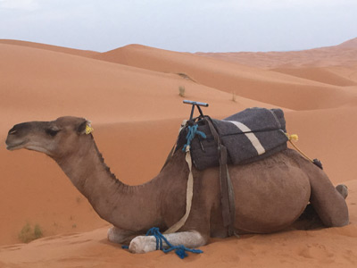 Voyage au Maroc de la Famille de Pierre