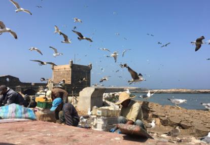 ©Pierre M. - Tous Droits réservés Voyage au Maroc de la Famille de Pierre