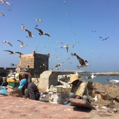 Voyage au Maroc de la Famille de Pierre