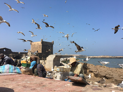 Voyage au Maroc de la Famille de Pierre