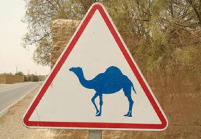 Voyage au Maroc de Jérémie, Alain et Isabelle