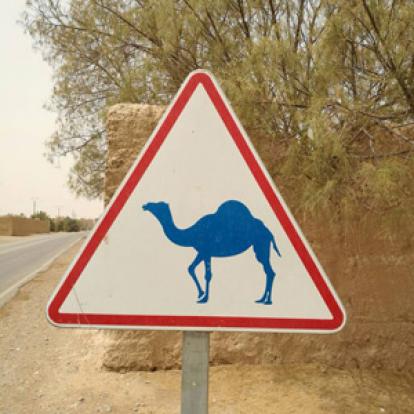 Voyage au Maroc de Jérémie, Alain et Isabelle