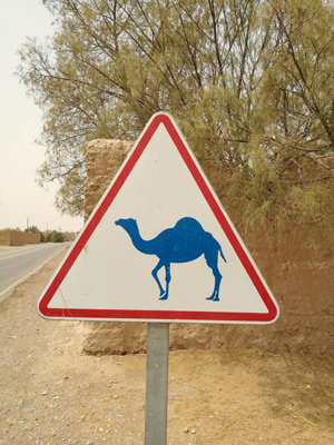 Voyage au Maroc de Jérémie, Alain et Isabelle