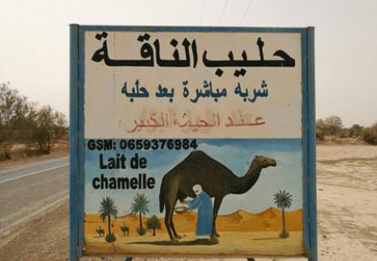 Voyage au Maroc de Jérémie, Alain et Isabelle