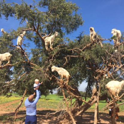 Voyage au Maroc de Pierre