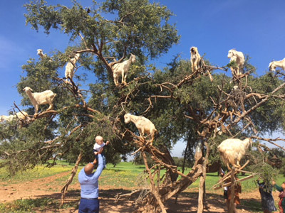 Voyage au Maroc de Pierre
