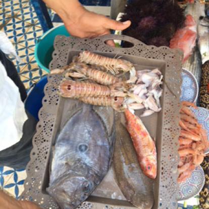 Voyage au Maroc de Pierre