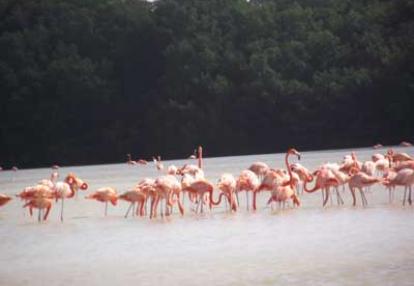 Voyage au Mexique de Louise