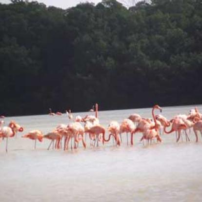 ©Louise B. - Tous Droits Réservés Voyage au Mexique de Louise