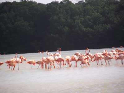 ©Louise B. - Tous Droits réservés Voyage au Mexique de Louise