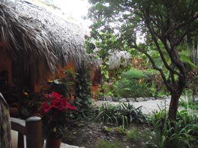 ©Louise B. - Tous Droits réservés Voyage au Mexique de Louise