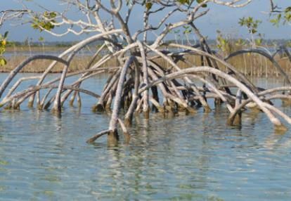 Voyage au Mexique de Jacky