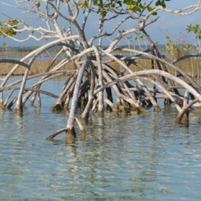 Voyage au Mexique de Jacky