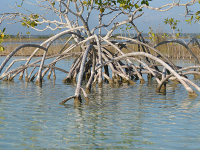Voyage au Mexique de Jacky