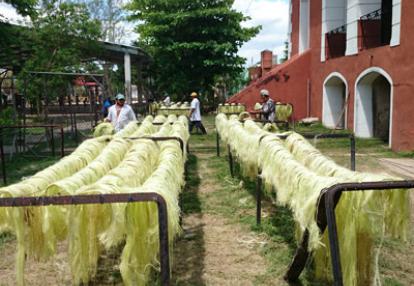 Voyage au Mexique de Laurence et Manu