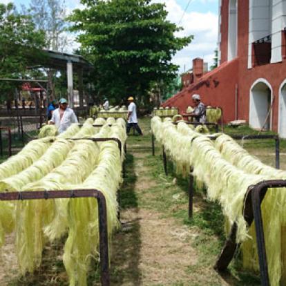 Voyage au Mexique de Laurence et Manu
