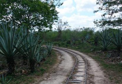 Voyage au Mexique de Laurence et Manu