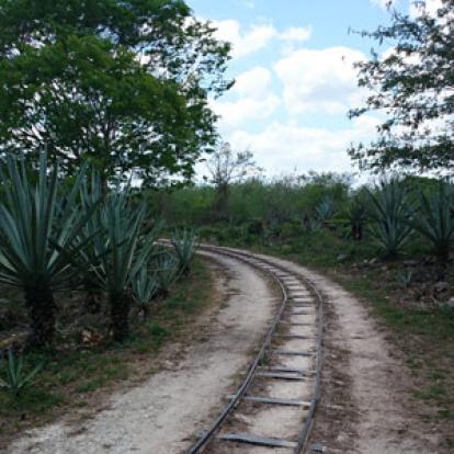 Voyage au Mexique de Laurence et Manu