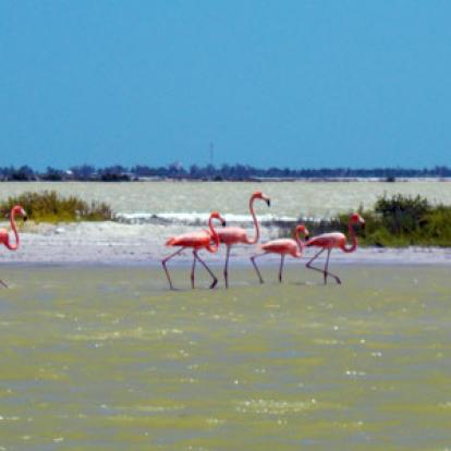 Voyage au Mexique de Laurence et Manu