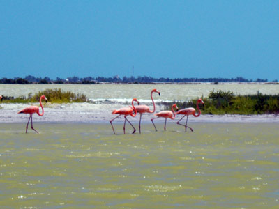 Voyage au Mexique de Laurence et Manu