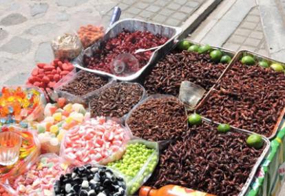 Voyage au Mexique de Martine