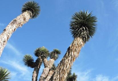 Voyage au Mexique de Martine