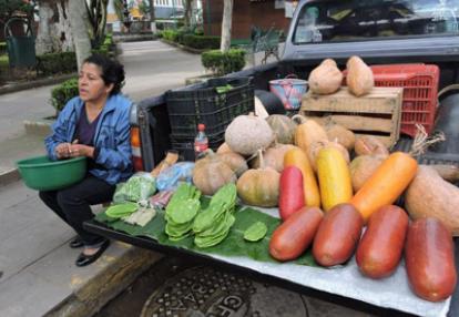 Voyage au Mexique de Martine