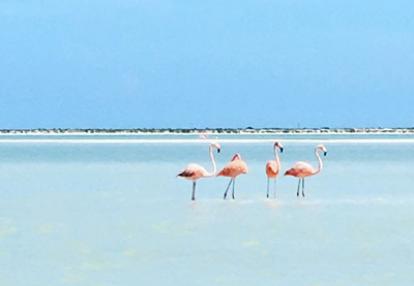 Voyage au Mexique de Stéphane