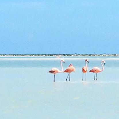 Voyage au Mexique de Stéphane