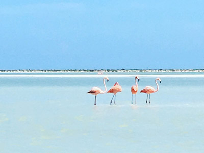 Voyage au Mexique de Stéphane